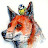 Laney D Avatar
