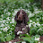Patrick West Avatar