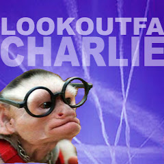 Lookoutfa Charlie Avatar