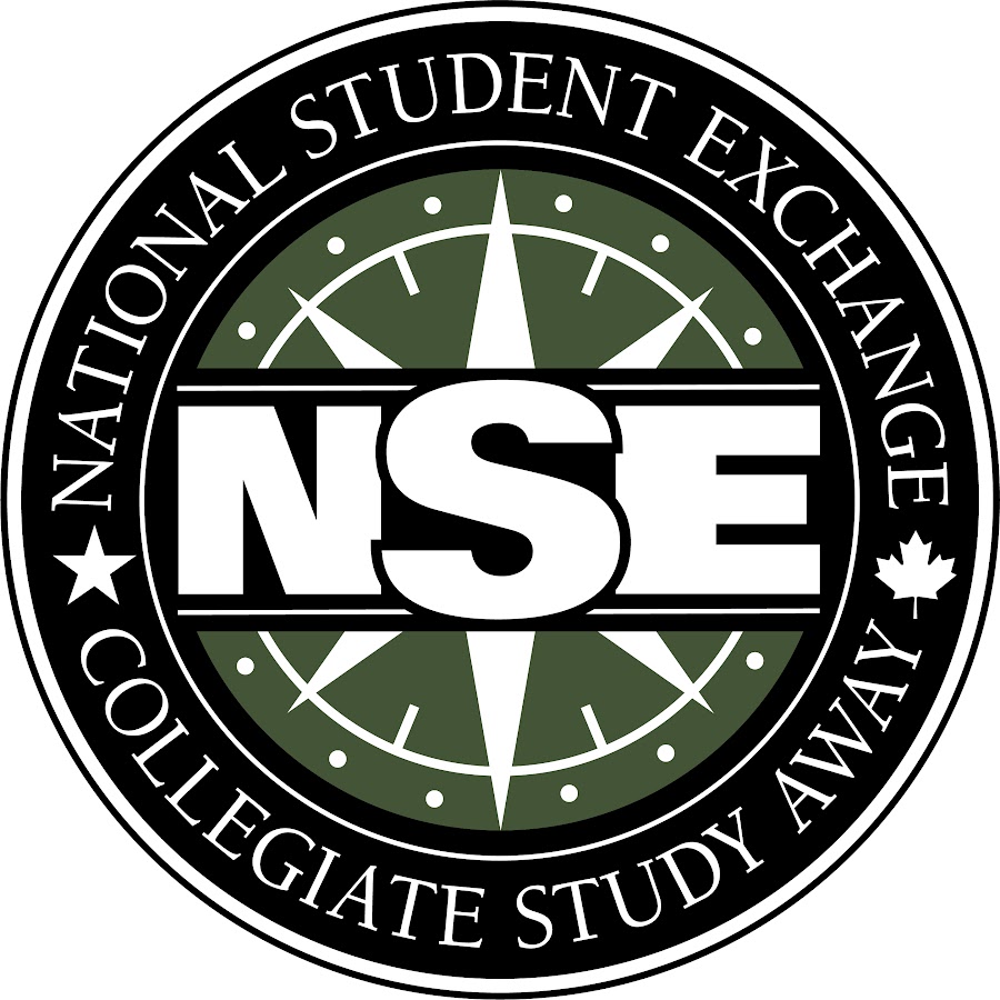 NSE - YouTube