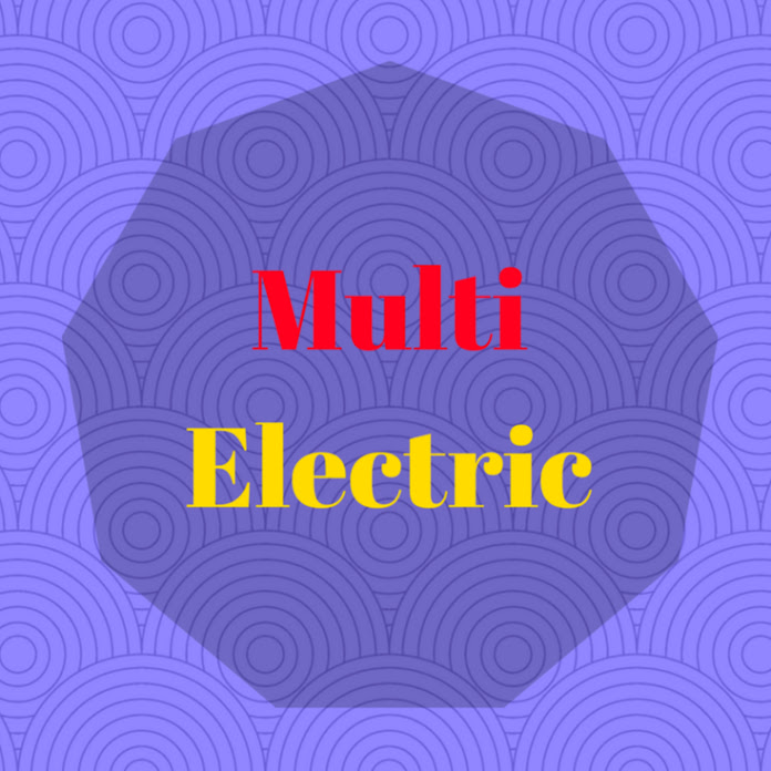 Multi Electric Net Worth & Earnings (2022)