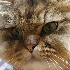 Thumbnail of related channel