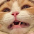 정복자릴리아