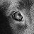 Heather M Taylor Avatar