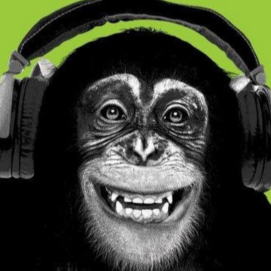 Обезьяна в наушниках картина мем