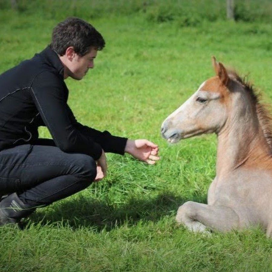 AMLnZu-ZVkERQLO0xcE379UK8v2coMwcOMZZAyPbdkuLgQ=s900-c-k-c0x00ffffff-no-rj