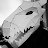 Lupo Grigio Avatar