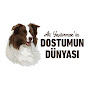 Dostumun Dünyası