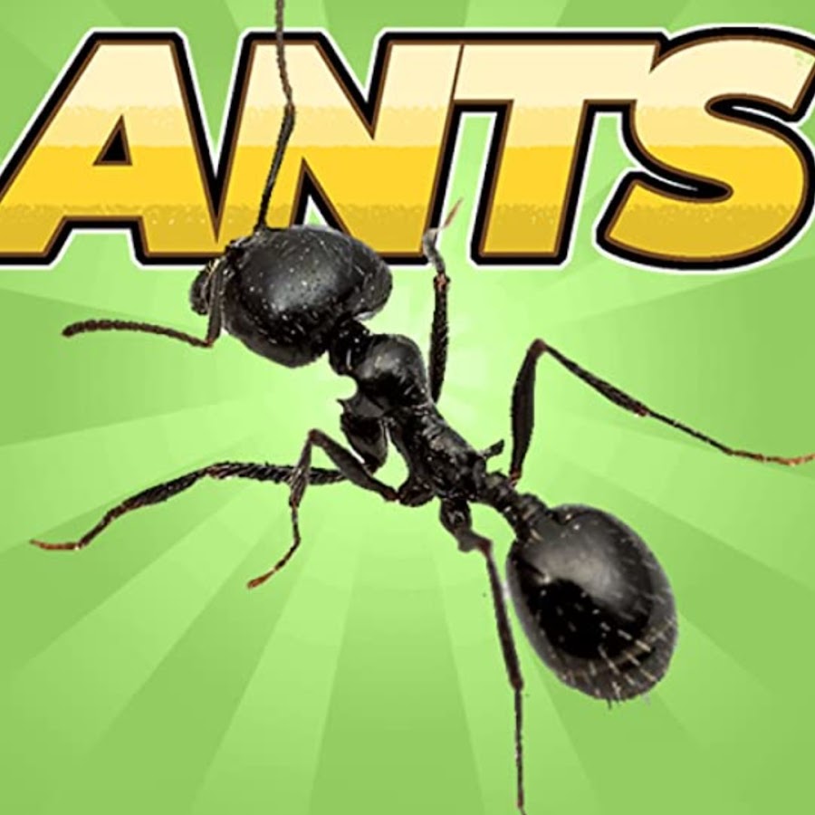 Pocket ants steam фото 15