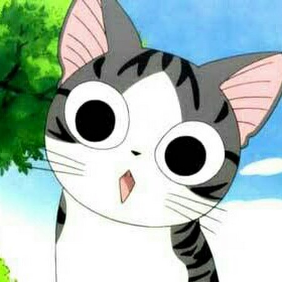 Чии милый дом чии. Кот чу. Jetoy cats. Jetoy choo choo. Милый дом чии.