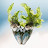 Rawsome Photography by Oksana Skolnaja Avatar