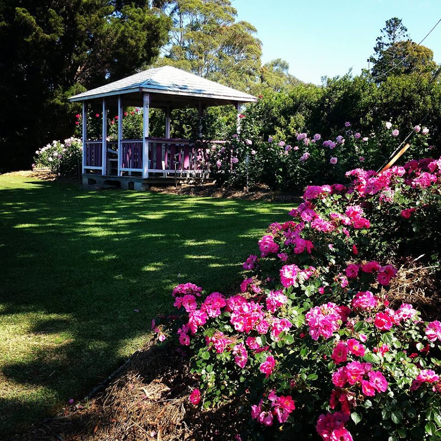 AMLnZubJiXtmcqDZY7sTgqzomvBHqcmxOBABYR152bw=s900ckc0x00ffffffnorj