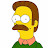 Ned Flanders Avatar