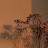 Refa Hamad Avatar