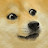 Doge