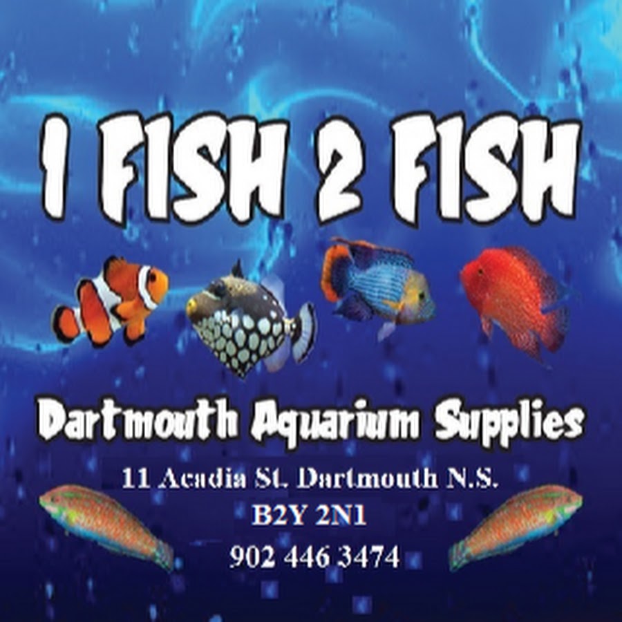 One fish, two fish, red fish, blue fish книга. Seuss. One fish two fish three fish four. One fish two. One fish, two fish, red fish, blue fish доктор сьюз книга.