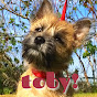 Toby the Terrier YouTube Profile Photo