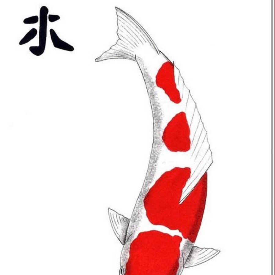 Рисунок сомы японские