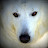 Rockit Avatar