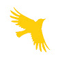The Freebird Project YouTube Profile Photo