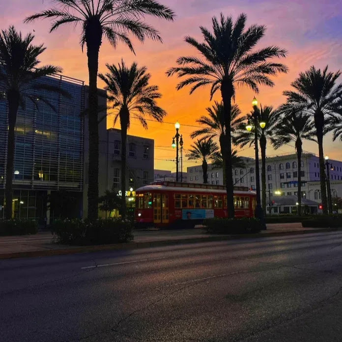 Survivor504 Net Worth & Earnings (2026)