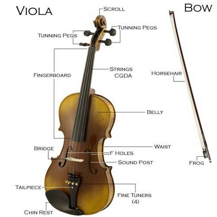 Название скрипичный. Строение Альта инструмент. Строение скрипки. Название частей скрипки. Детали скрипки названия.