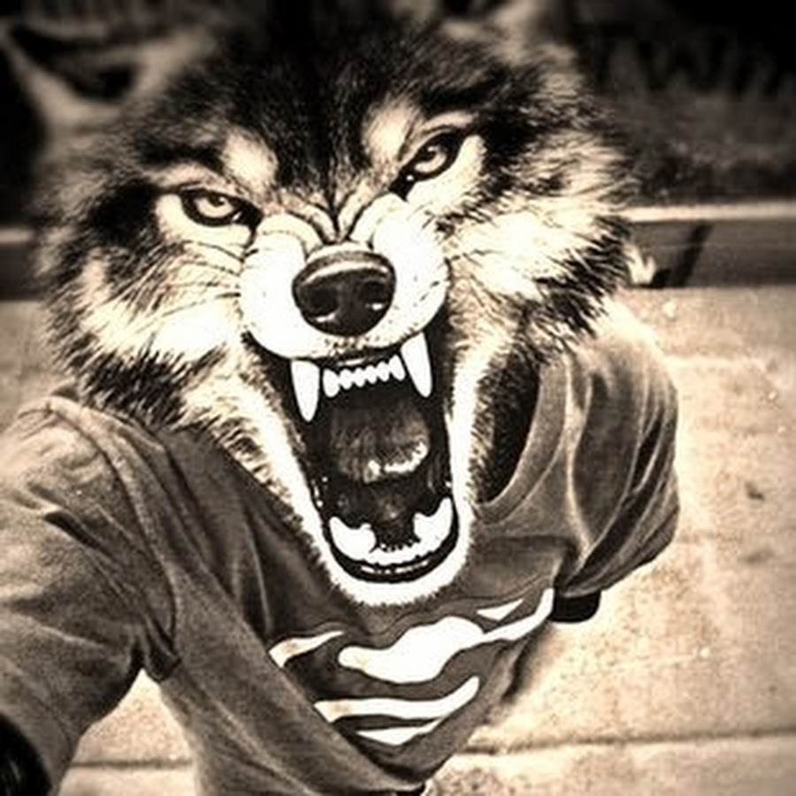 AMLnZu-gtmOqK4OET0vICWJ92mYphEHVupTFvLk05ntg=s900-c-k-c0x00ffffff-no-rj