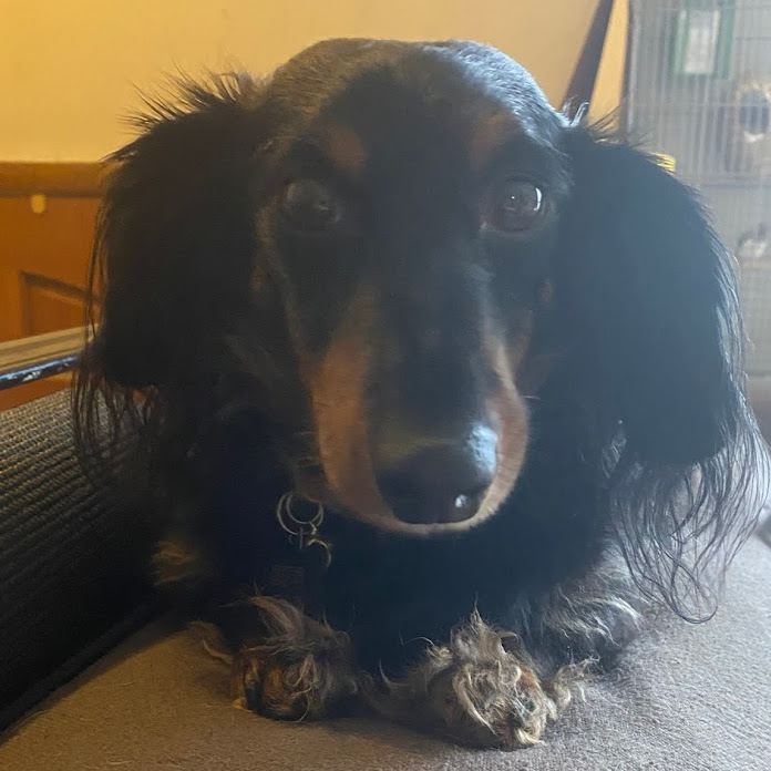 ThatFishGuy Net Worth & Earnings (2026)