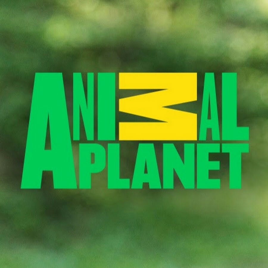 AMLnZuhDGAnGkzvwU2TyrpQQj3FOAS5d2Xui42kUbs5=s900ckc0x00ffffffnorj