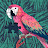 Leigh Coffman Avatar