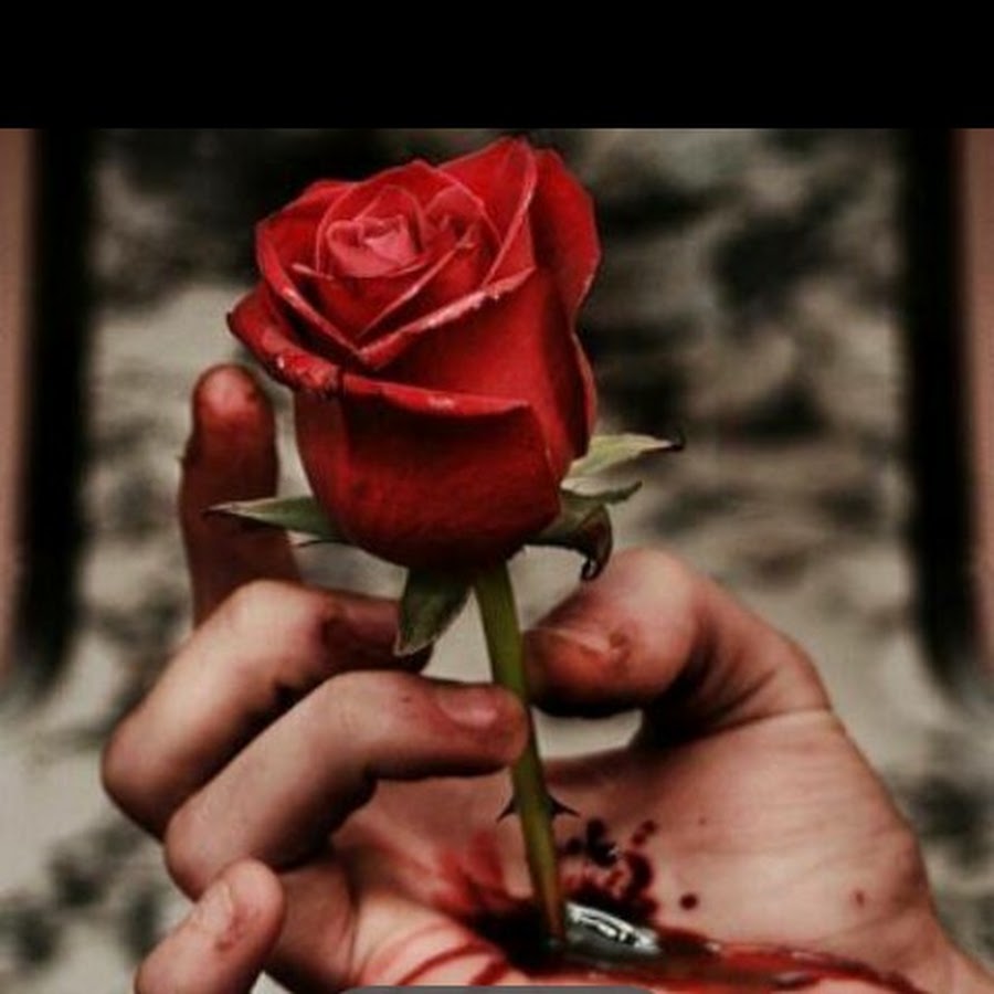 Афоризмы про песок. Цитаты про песок. Цитаты. Сломай корешок книги. Цитаты при расставании с девушкой.