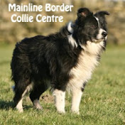 Mainline Border Collie Centre & FOSTBC Collie Rescue