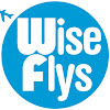 What could Wise Flys buy with $100 thousand?