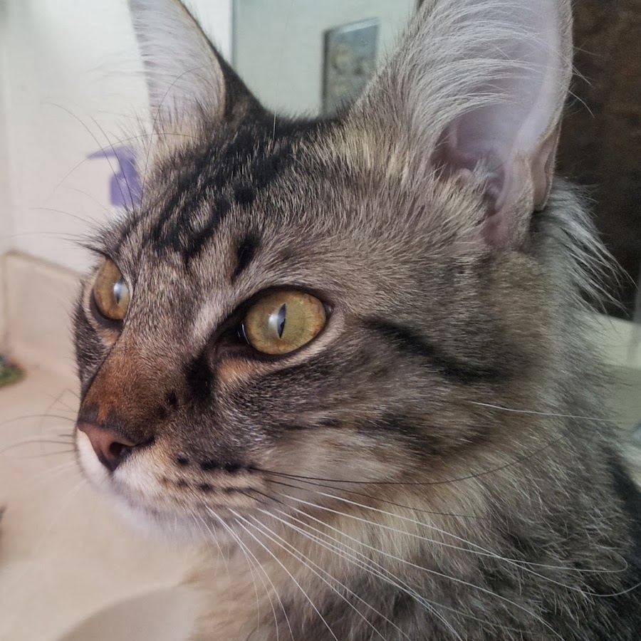 Amlnzu Je H9peyejyya2jerpfm8 Vn5zbvc8bxqd75y S900 C K C0x00ffffff No Rj