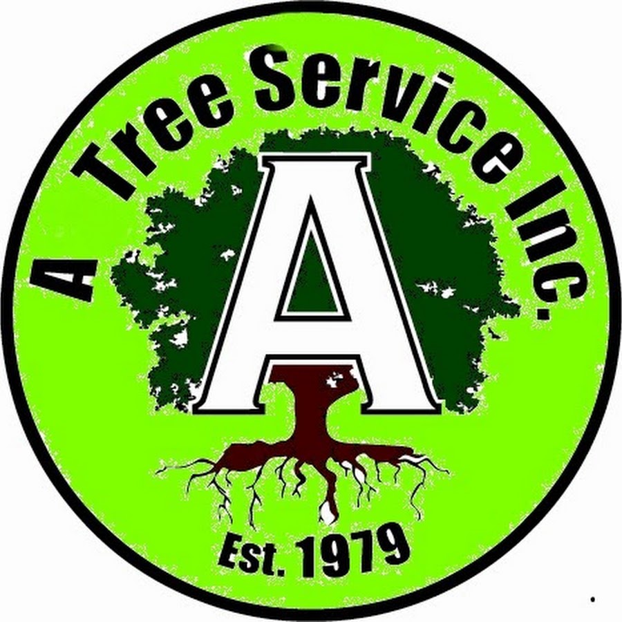 AMLnZulIfneBYgRneomFrcyjjyseweShAns1uJyvr=s900ckc0x00ffffffnorj