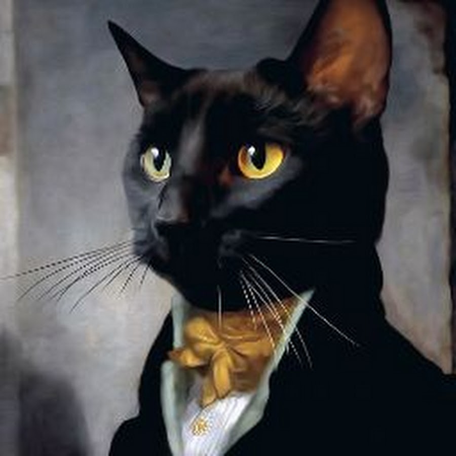 Кот начальник арт