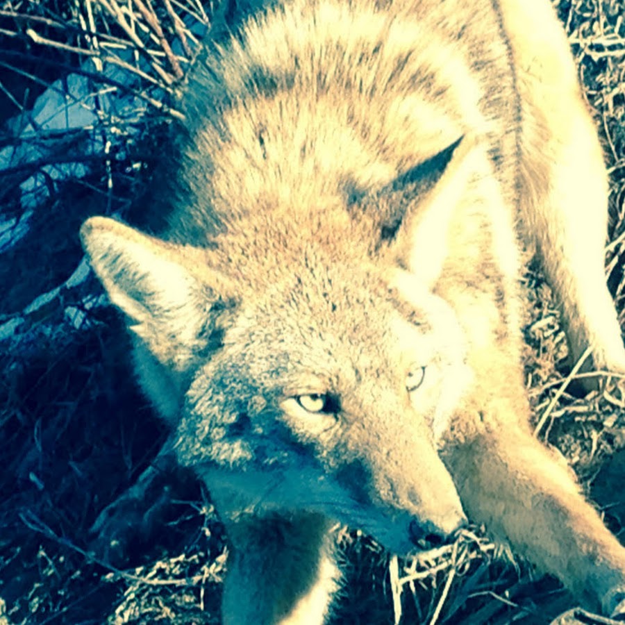 AMLnZumnqh3lfooTNziqB6idPiXWSVykic_X0ci1h80nA=s900ckc0x00ffffffnorj