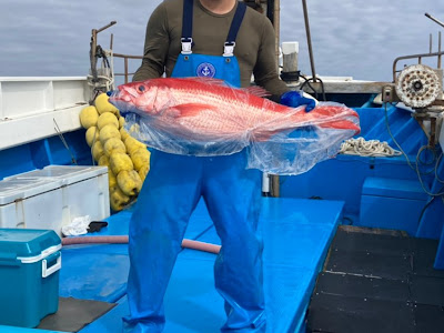 [最も人気のある！] 漁師 画像 676823-漁師 画像