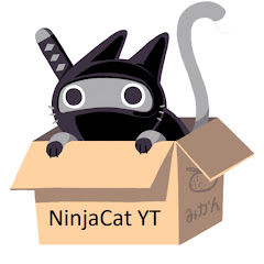 NinjaCat YT net worth