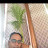 CHANNI GILL Avatar