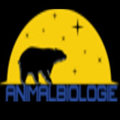 ANIMALBIOLOGIE
