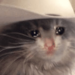 Thumbnail of related channel