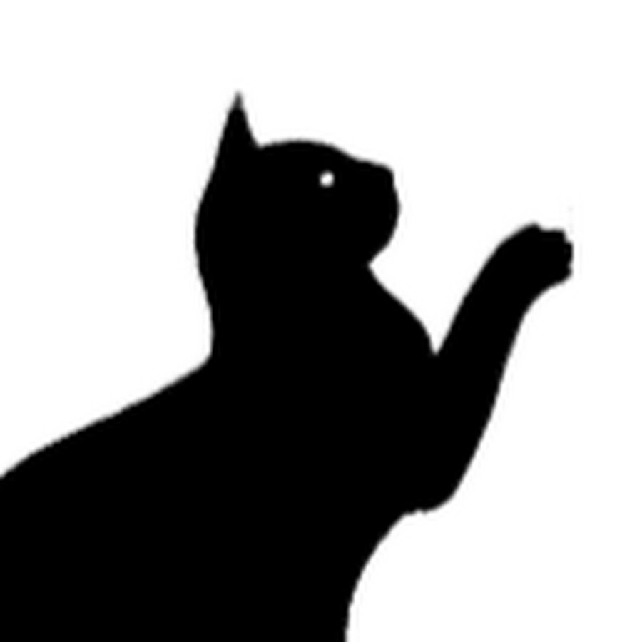 Забор антикот своими руками