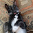 Angel T Avatar