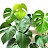 Rb Rafej Avatar