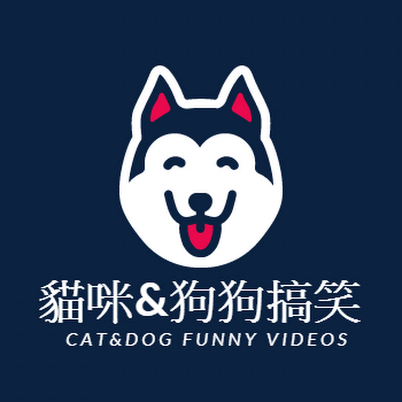 è²“å’ª&ç‹—ç‹—æ�žç¬‘ Cat&dog Funny videos