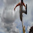 andres merchan fs