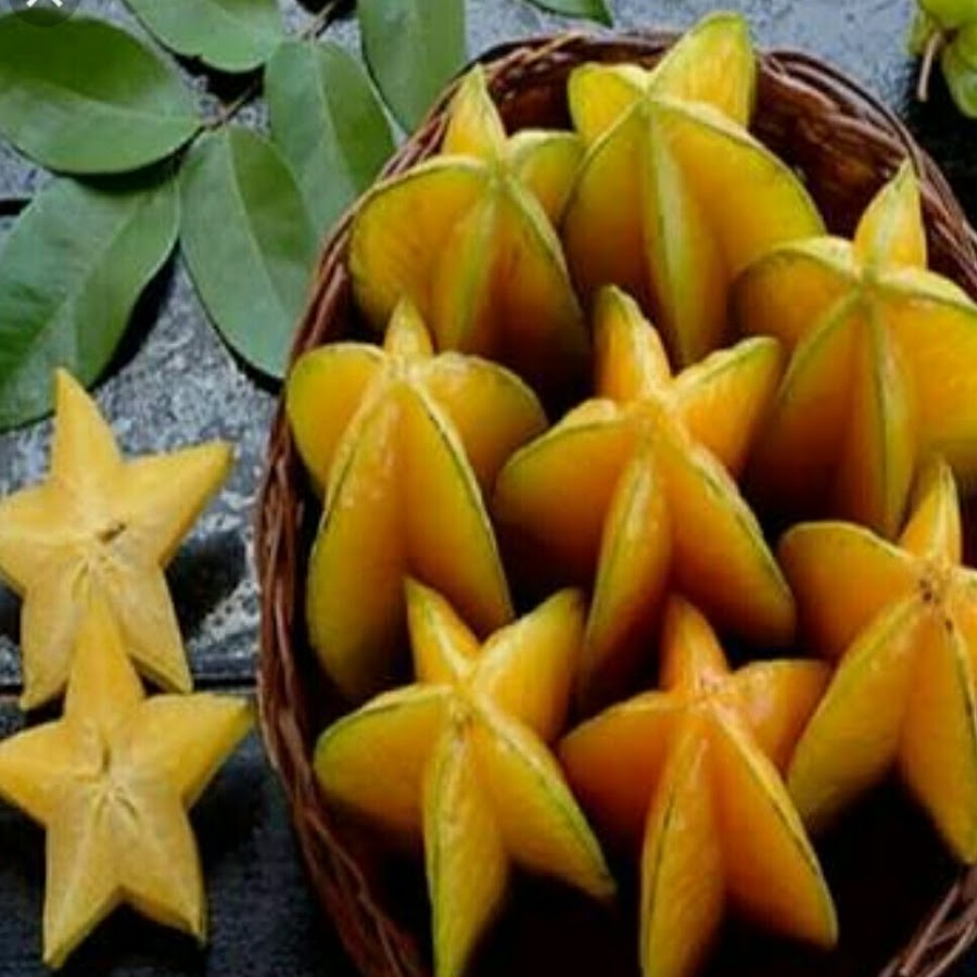 Малазийская карамбола. Лимон карамбола. Карамбола. Экзотический фрукт звезда. Карамбола дерево.