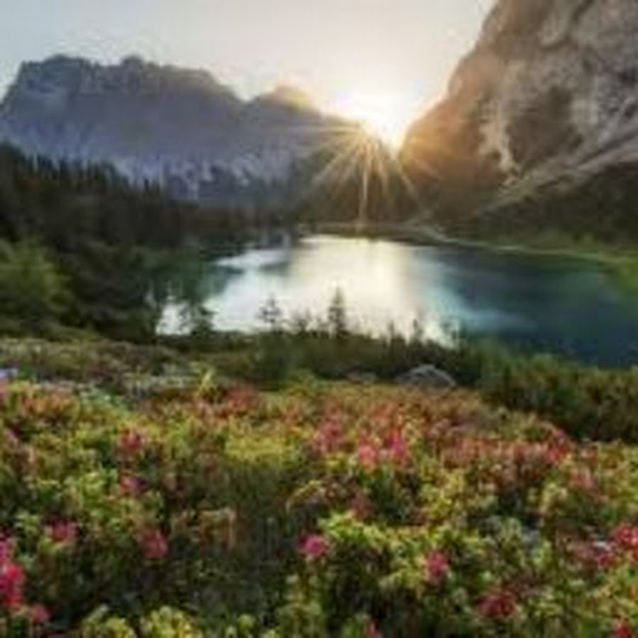 AMLnZusfbtNVRco8XO7DkipMOSrvrz1SlbQohmiFAp=s900ckc0x00ffffffnorj