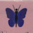 Blue Butterfly Wellness
